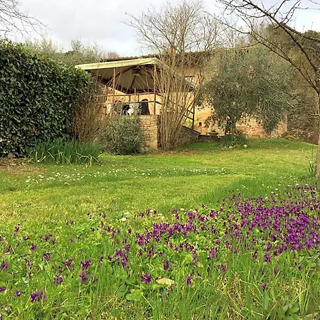 Podere Il Pero B&B
