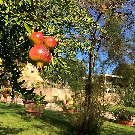 Podere Il Pero