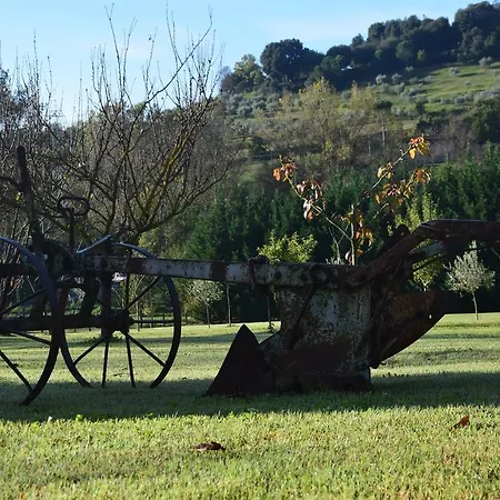 Podere Il Pero Oda ve Kahvaltı 4*