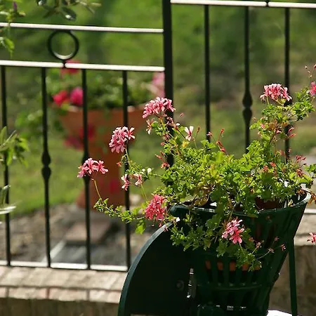 Oda ve Kahvaltı Podere Il Pero