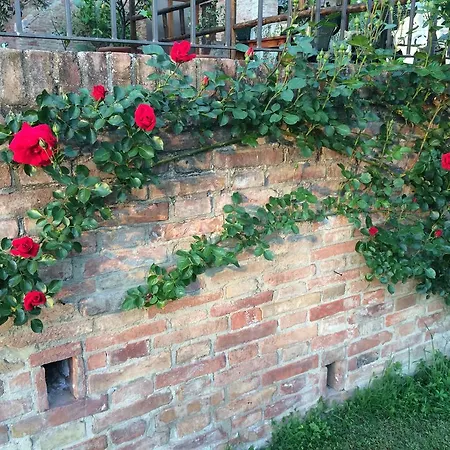 Oda ve Kahvaltı Podere Il Pero 4*