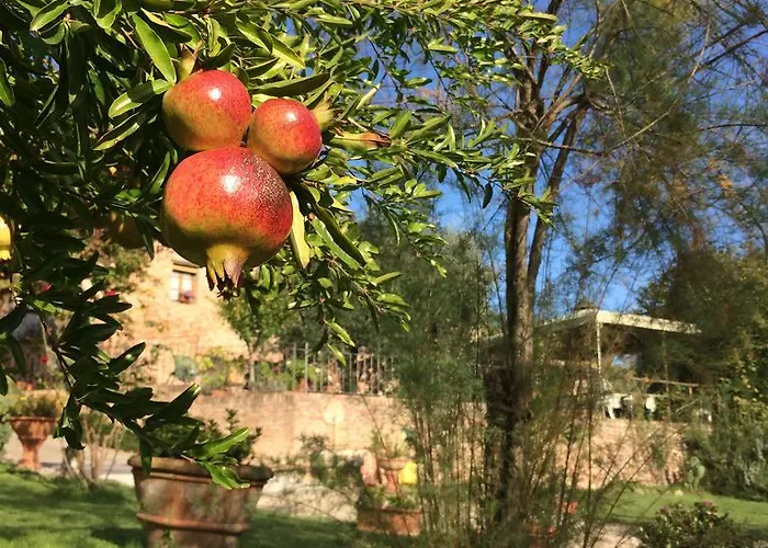 Podere Il Pero Panzió Siena