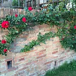 Bed and Breakfast Podere Il Pero 4*