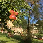 Podere Il Pero Bed and Breakfast Σιένα