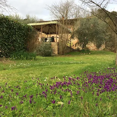 Podere Il Pero Sienne