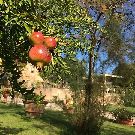 Podere Il Pero Couette-café Sienne